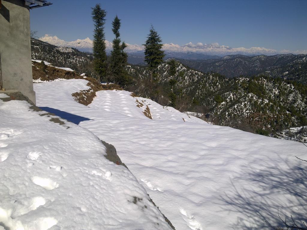 Best Himalayan view residential plot in Mukteshwar for Rs 1.4 crore