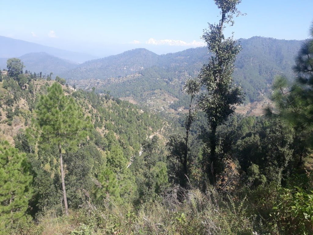 48 Lacs – 6 Nali Himalayan View Land in Nathuakhan
