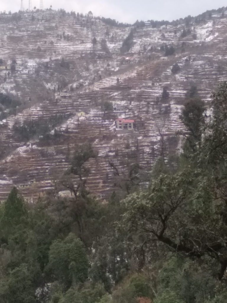 6 lacs – 15 Nalis Residential Himalayan View Land in Hartola