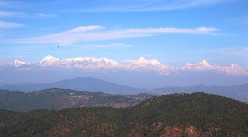 4 Nali Himalayan view land in Bhataliya (Bhatelia), Letibunga in Mukteshwar available for Rs 48 lacs