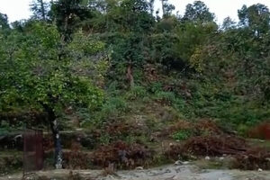 20 nali Himalayan view residential plot in Sitla available for 2.4 crore